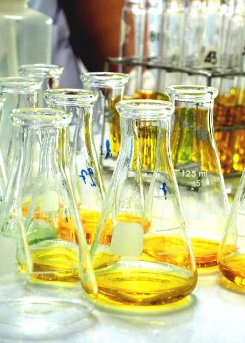 lab-2107510_1280-1200x900